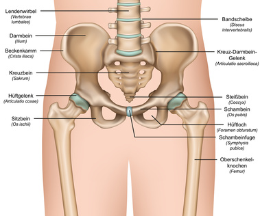 Schmerzen an der Hüfte